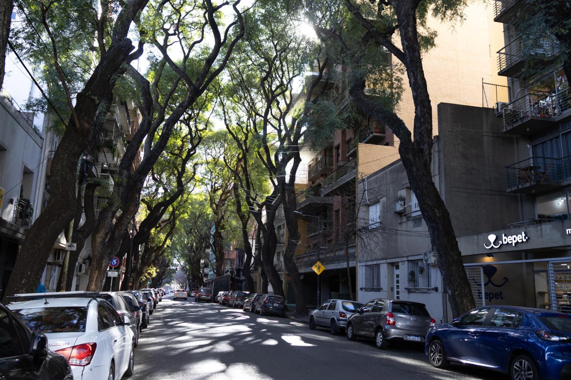 Apartamento Palermo Soho G4827 - Departamentos Modernos, Amplios Y Luminosos Ciudad Autónoma de Ciudad Autónoma de Buenos Aires Exterior foto